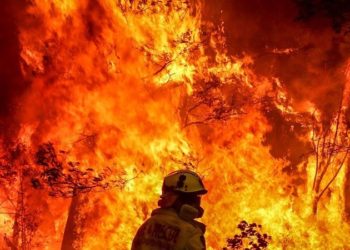 Fuertes lluvias llegan a las zonas afectadas por incendios forestales en Australia