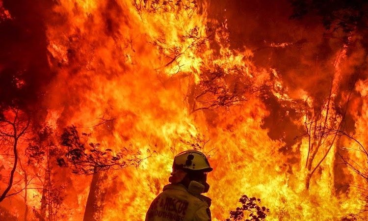 Fuertes lluvias llegan a las zonas afectadas por incendios forestales en Australia