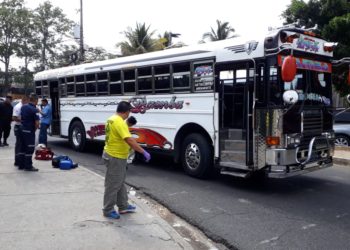 Bus de la ruta 29 A atropella y mata a anciana cuando intentaba cruzar la calle