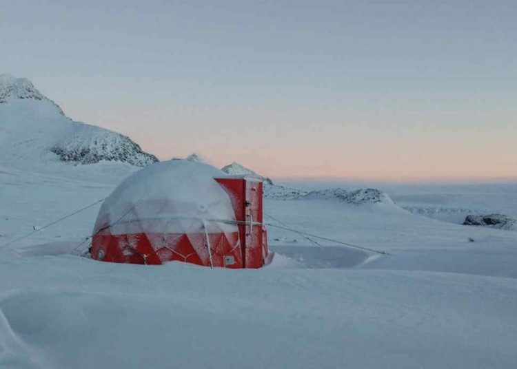 Científicos españoles detectan mosquitos invasores en la Antártida