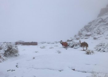 (VIDEO) Una fuerte nevada tiñe de blanco Arabia Saudita