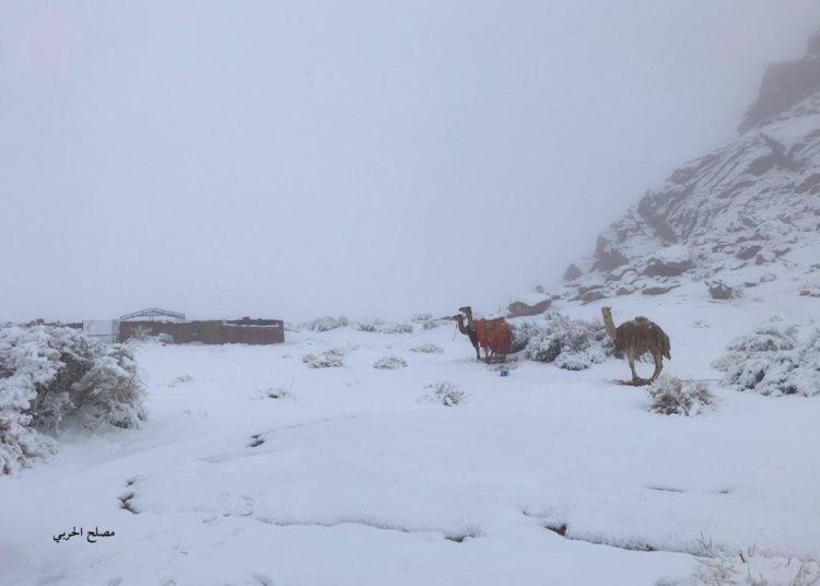 (VIDEO) Una fuerte nevada tiñe de blanco Arabia Saudita