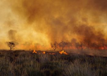 Incendios en Australia son una catástrofe para la salud, la economía y la biodiversidad