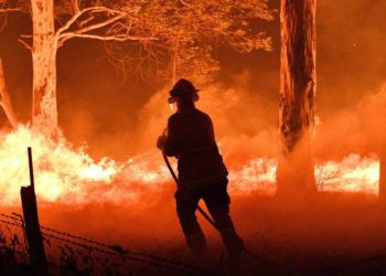 Aumentan a 21 los muertos por los devastadores incendios forestales en Australia