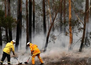 (VIDEO) Lluvia da tregua a zonas afectadas por incendios en Australia