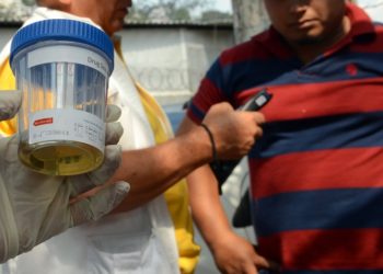 Capturan a siete conductores ebrios en San Salvador