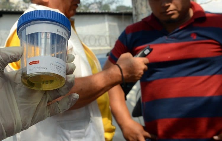 Capturan a siete conductores ebrios en San Salvador