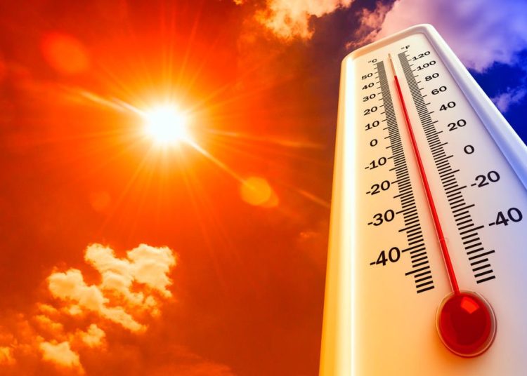 2019 fue el segundo año más caluroso jamás registrado en el mundo