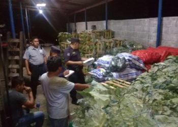 Policía de Fronteras decomisa cargamento de verduras que fue ingresado sin pagar impuestos desde Guatemala