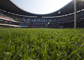 Presenciar un partido de tu deporte favorito eleva el ritmo cardíaco y la presión arterial