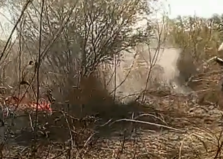 (VIDEO) Cazadores furtivos provocan incendio de maleza en San Miguel