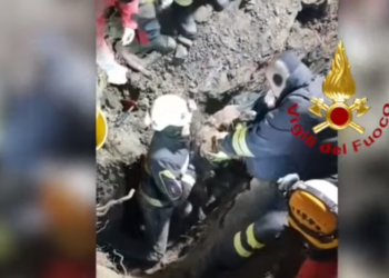 Bomberos rescatan a dos perros atrapados en una cantera durante más de 30 horas en Italia