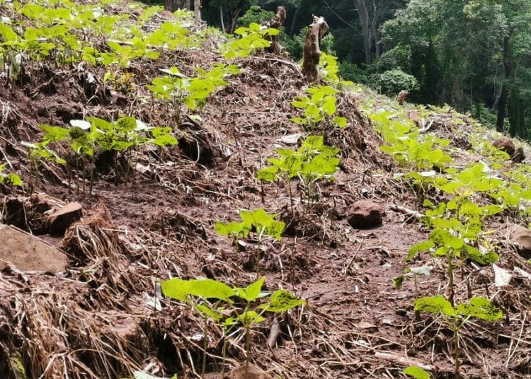 Más de 38 mil personas serán beneficiadas con el Programa Rural Adelante