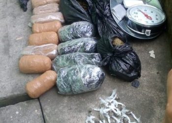 Incautan marihuana por más de 14 mil dólares en la Tutunichapa