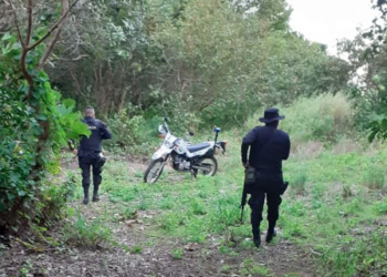 Pandillero mata a otro de su mismo grupo tras consumir bebidas embriagantes y discutir
