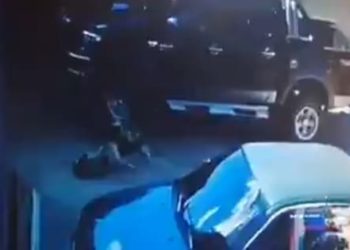 Conductor que aplastó a perro deberá pagar multa de $1,200