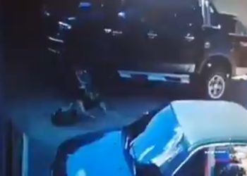 VIRAL: Conductor aplasta a un perro en Chalchuapa, el perro agoniza y muere