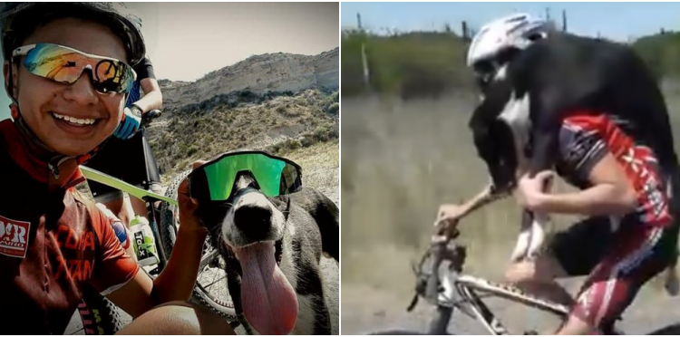 (VIDEO) Ciclistas argentinos salvan a un perro abandonado en zona deshabitada