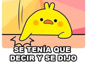 Los 19 mejores memes de 2019 en el mundo