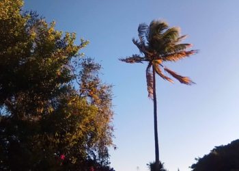 Para este miércoles se mantienen los vientos del Este y un clima cálido