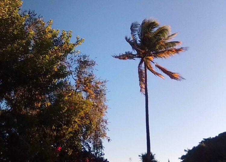 Para este miércoles se mantienen los vientos del Este y un clima cálido