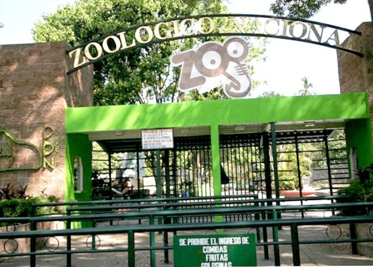 Reos apoyarán obras de remodelación del Zoológico Nacional y parque Saburo Hirao