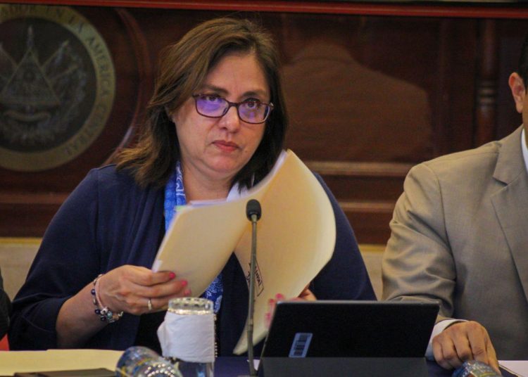 Ana Orellana Bendek: «Usuarios de ANDA no están consumiendo agua con sulfato de cobre»