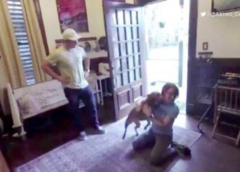 (VIDEO) La astronauta que pasó 328 días en el espacio es recibida por su perro