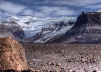 (VIDEO) La Antártida se ha quedado sin hielo debido a altas temperaturas
