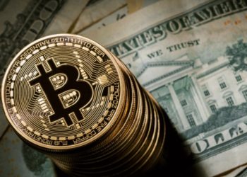 Un narco pierde $58 millones en bitcoines porque su casero tiró las contraseñas