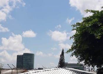 Domingo caluroso, cielo despejado y ráfagas de viento de débiles a fuertes