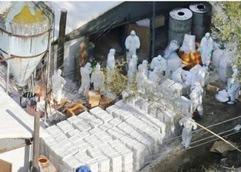 China sacrifica casi 18 mil pollos para contener nuevo brote de gripe H5N1