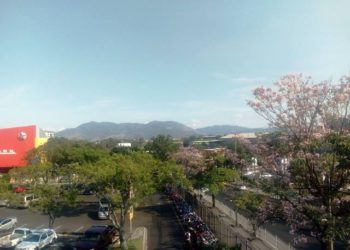 Miércoles cálido acompañado de vientos del noreste