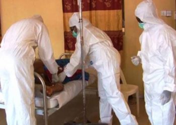 Nigeria reporta la muerte de 104 personas de la Fiebre Lassa