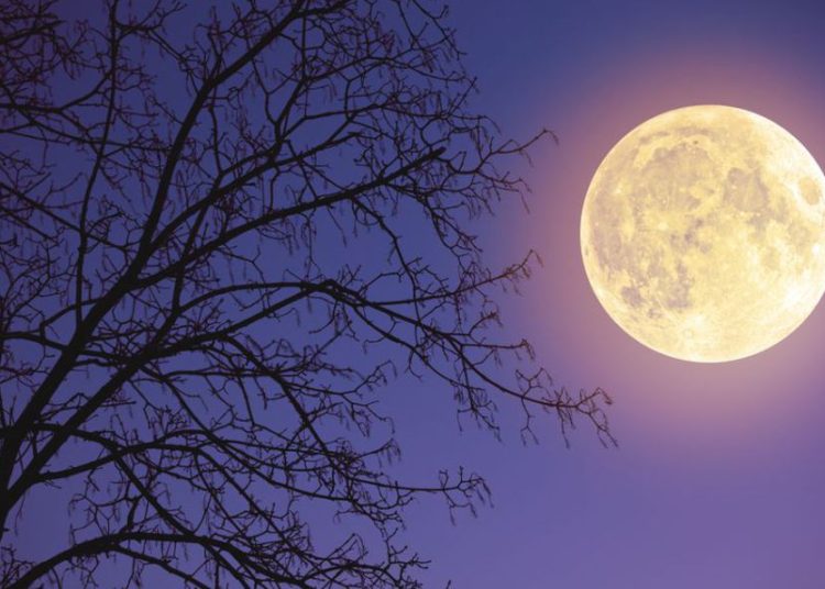 La ‘superluna de nieve’ iluminará el cielo este fin de semana