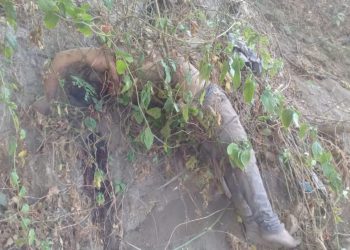 Marero cae a un precipicio y muere luego de huir de la PNC en San Martín