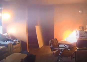 (VIDEO) Un perro provoca un incendio en su casa