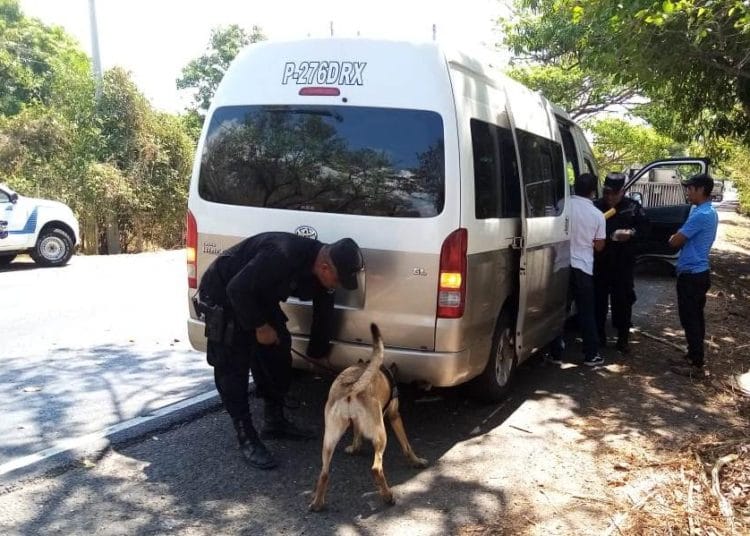 Captura a un guatemalteco y un salvadoreño que transportaban fuerte cantidad de dinero adherido a su cuerpo