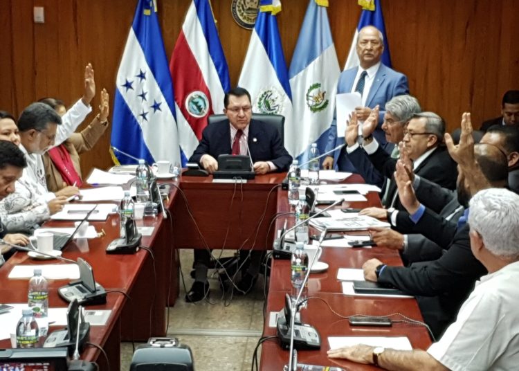 Comisión Política emite dictamen recomendando destitución del presidente de ANDA