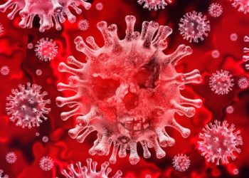 Descubren cómo el coronavirus se une a las células humanas para ‘secuestrarlas’ y producir más virus