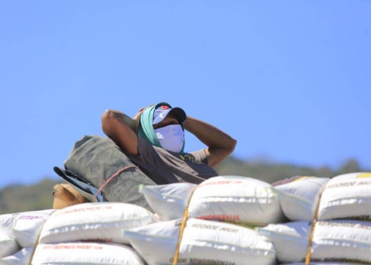 Mascarillas de tela no previenen contagiarse del coronavirus
