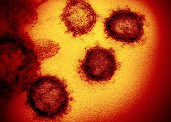 (VIDEO) La última guía para entender el Coronavirus y protegerse