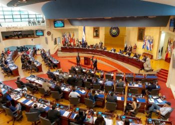 Critican involucraniento de empresa privada en comité para distribución de fondos para emergencia por coronavirus