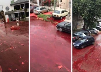 (VIDEO) Un barrio argentino es inundado por miles de litros de sangre animal