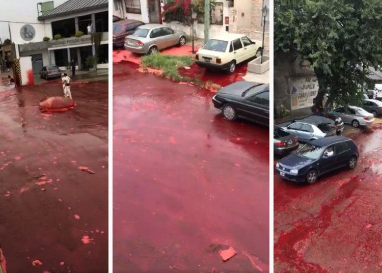 (VIDEO) Un barrio argentino es inundado por miles de litros de sangre animal