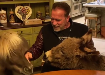 (VIDEO) Arnold Schwarzenegger en cuarentena junto a un poni y un burro, pide a quedarse en casa