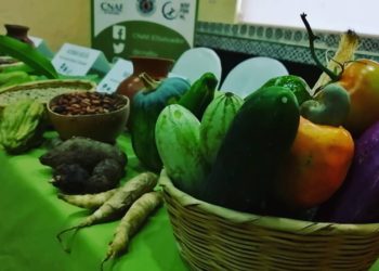 CNAF pide aprobación de Ley de Agricultura Familiar Campesina e Indígena