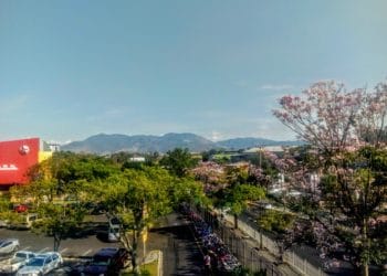 Jueves muy cálido y con cielo despejado