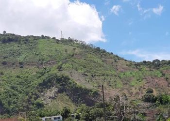 El ambiente caluroso continuará este jueves informó el Ministerio de Medio Ambiente