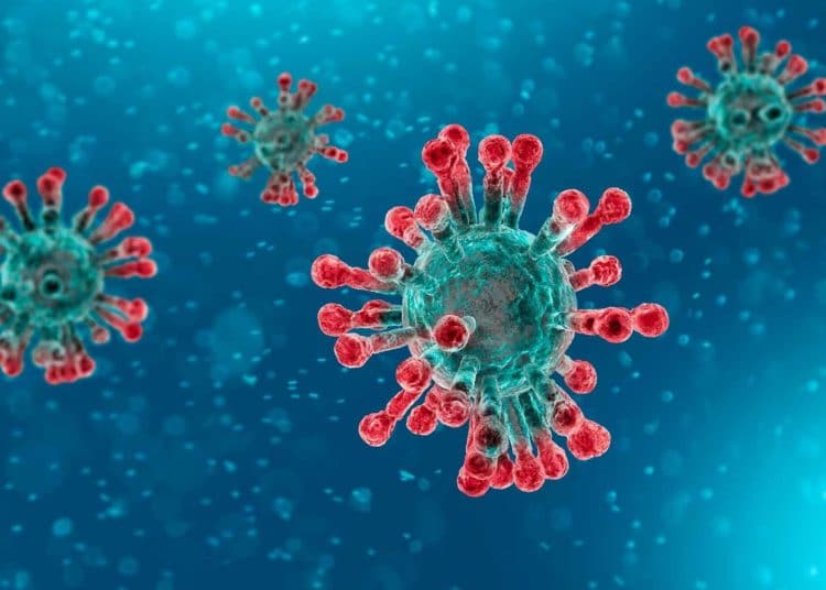 El coronavirus que causa estragos en Europa no sería exactamente el mismo que nació en China